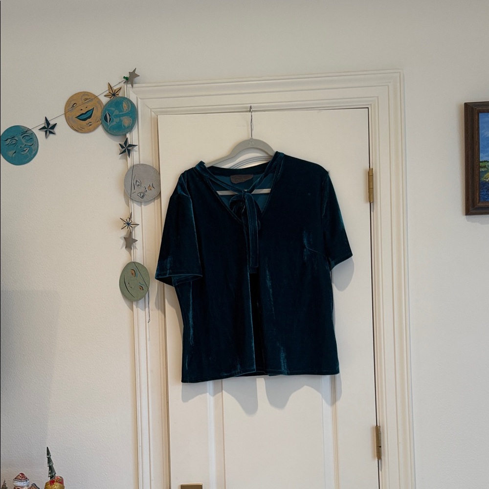 Anthropologie Teal Velvet Tie-Neck Blouse